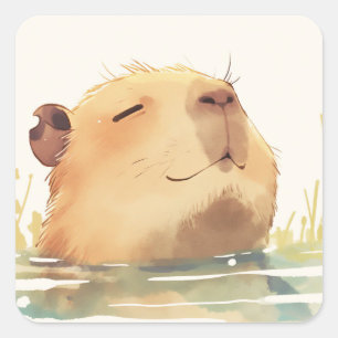 Sticker Carré Capybara se rafraîchissant