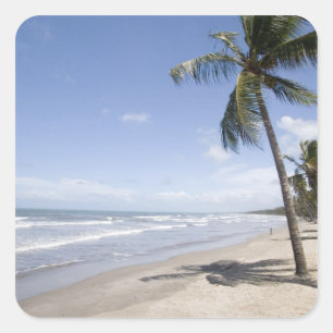 Sticker Carré Caraïbes - Trinité - Plage de Manzanilla sur 2