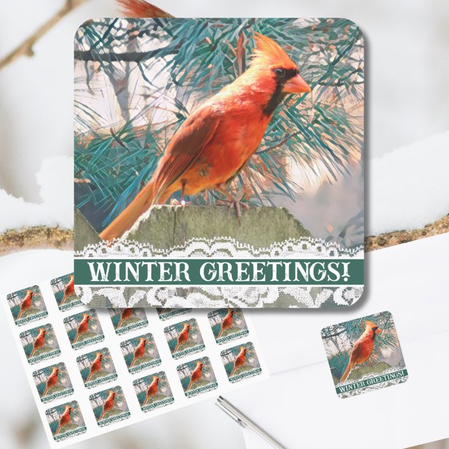 Sticker Carré Cardinal devant le phoque d'hiver des pins (A northern cardinal sits before a pine on this winter-themed envelope seal for holiday greetings.)