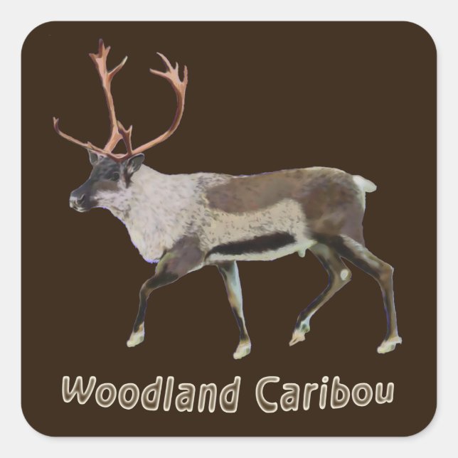 Sticker Carré Caribou des bois (Devant)