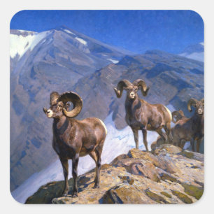 Sticker Carré Carl Rungius Big Horn Sheep sur Wilcox Pass