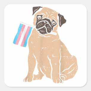 Sticker Carré Carlin Chien Transgenre Drapeau Trans Fierté LGBT 
