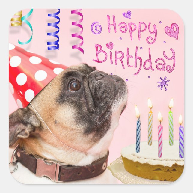 Sticker Carré Carlin de fête et gâteau d'anniversaire (Devant)