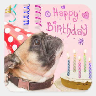 Sticker Carré Carlin de partie et gâteau d'anniversaire