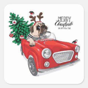 Sticker Carré Carlin du Joyeux Noël   conduisant la voiture