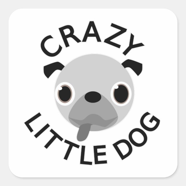Sticker Carré Carlin fou petit chien (Devant)