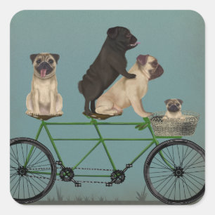 Sticker Carré Carlin Tandem