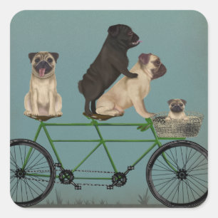 Sticker Carré Carlin Tandem