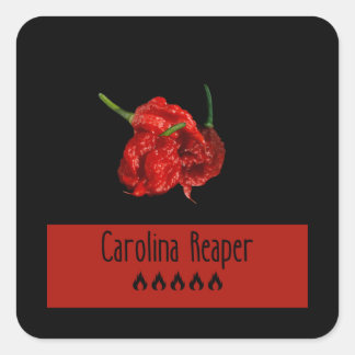 Sticker Carré Carolina Reaper