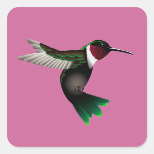 Sticker Carré carré d'autocollant d'oiseaux de mer