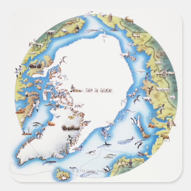 Sticker Carré Carte de l'Arctique (Devant)