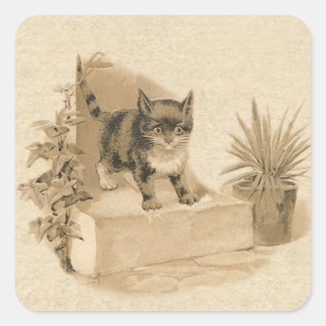 Sticker Carré Carte française d'antiquité avec dessin de chat Vi (Devant)