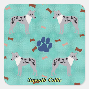 Sticker Carré Cartoon Smooth Collie