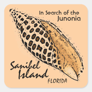 Sticker Carré Cartouches Junonia Sanibel Island Floride autocoll