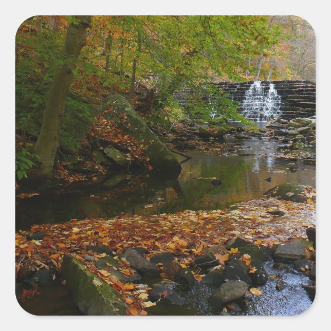 Sticker Carré Cascade automnale et Creek Pennsylvania Nature (Devant)