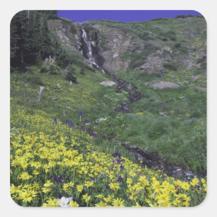 Sticker Carré Cascade et fleurs sauvages dans un pré alpin,