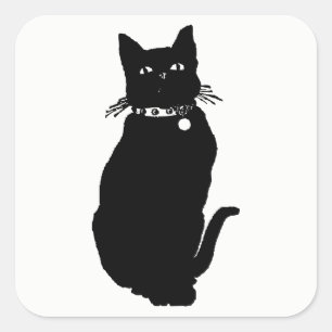 Sticker Carré Cat
