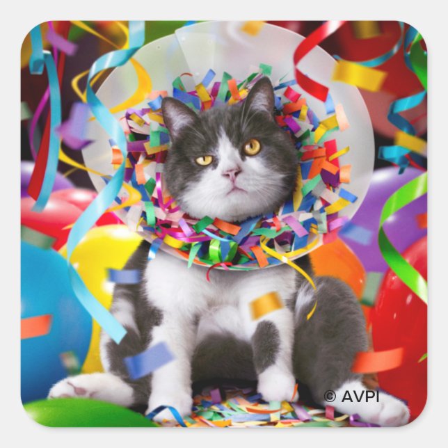 Sticker Carré Cat dans le cône de partie (Devant)