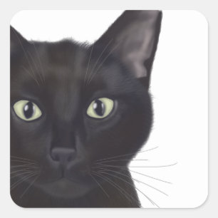 Sticker Carré Cat, Portrait de Gus