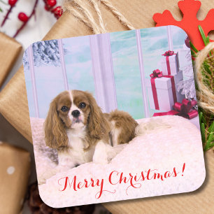 Sticker Carré Cavalier King Charles de Noël avec cadeaux