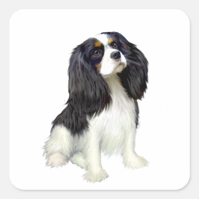 Sticker Carré Cavalier King Charles - tricolore (Devant)