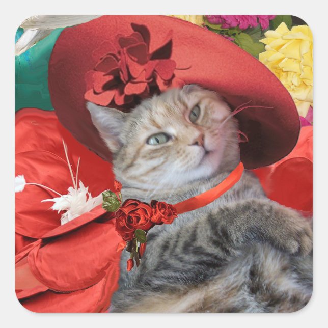 STICKER CARRÉ CÉLÉBRITÉ CAT PRINCESS TATUS AVEC CASQUETTE ROUGE (Devant)