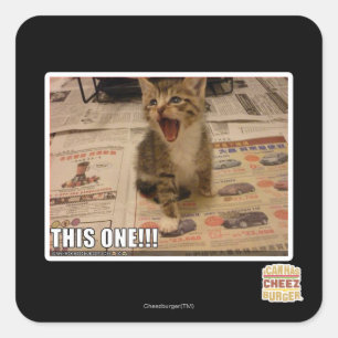 Sticker Carré Celui-ci !