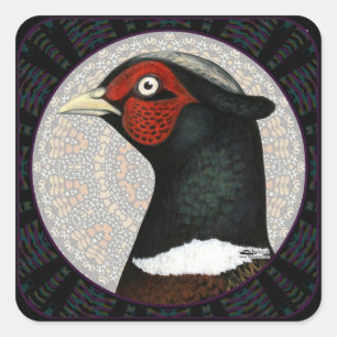 Sticker Carré Cercle de faisan Ringneck