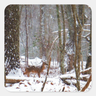 Sticker Carré Cerf dans la chute de neige
