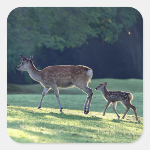 Sticker Carré Cerf, Enfant parent, Matin