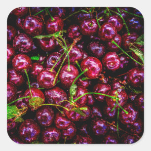 Sticker Carré Cerises