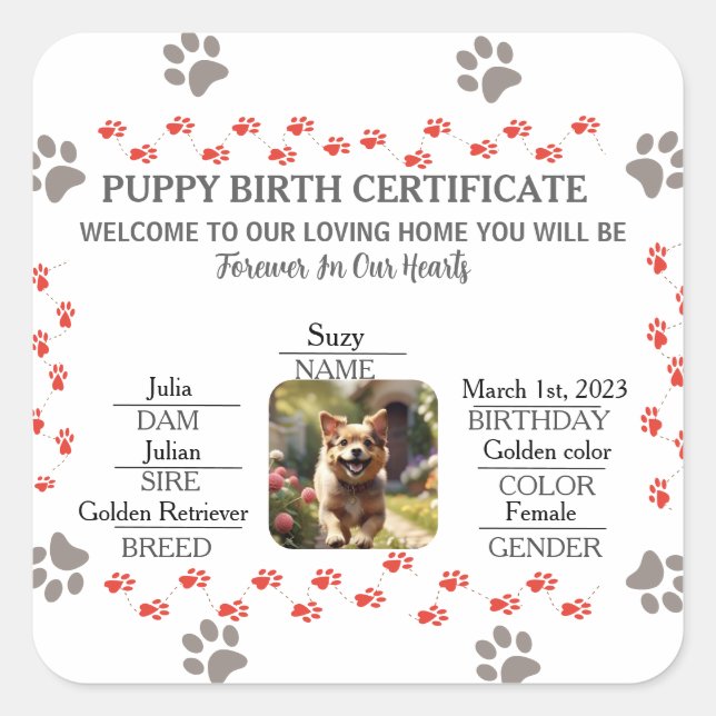 Sticker Carré Certificat de naissance personnalisé de chiot (Devant)