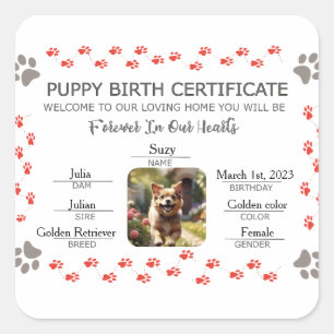 Sticker Carré Certificat de naissance personnalisé de chiot