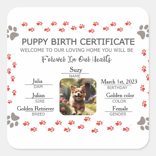 Sticker Carré Certificat de naissance personnalisé de chiot (Devant)