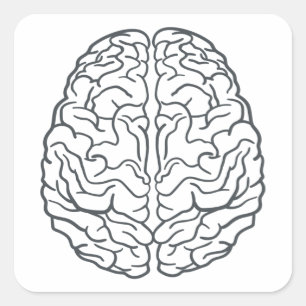 Sticker Carré Cerveau humain