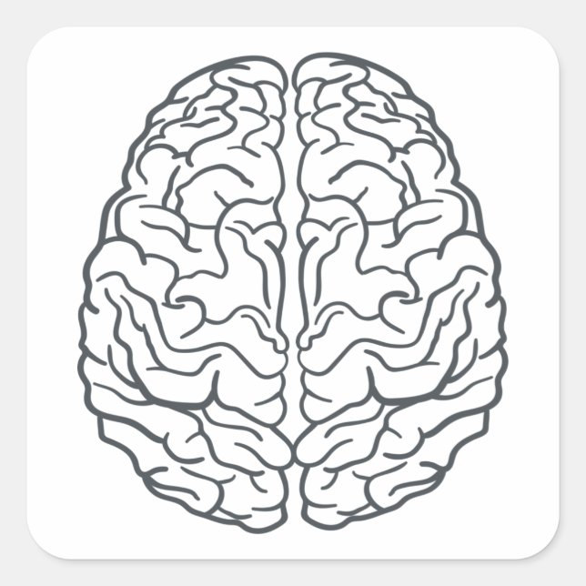 Sticker Carré Cerveau humain (Devant)