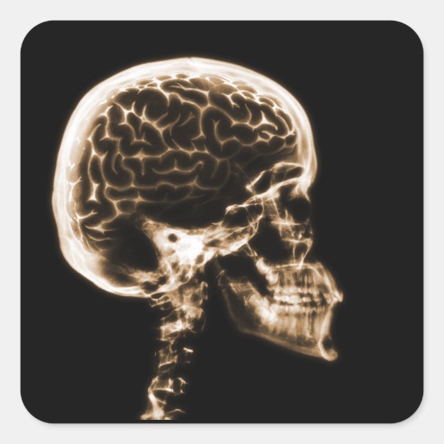 STICKER CARRÉ CERVEAU JUMEAU X-RAY - ORANGE (Devant)