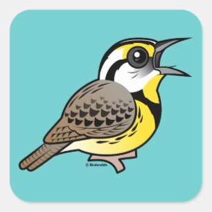 Sticker Carré Chant Meadowlark oriental