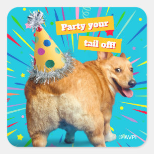 Sticker Carré Chapeau d'anniversaire Corgi Butt