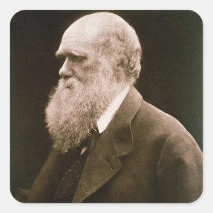 Sticker Carré Charles Darwin (1809-82)