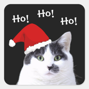 Sticker Carré Chat à Santa Hat