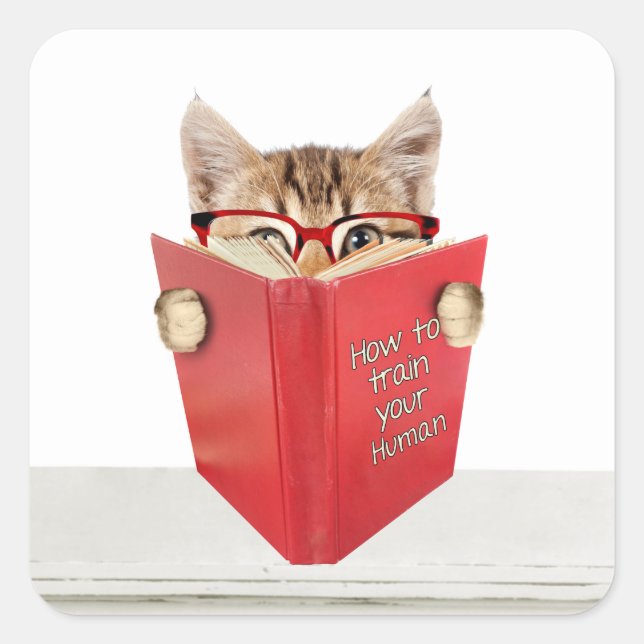 Sticker Carré Chat avec lunettes et livre rouge (Devant)