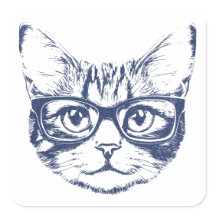 Chat cool avec lunettes