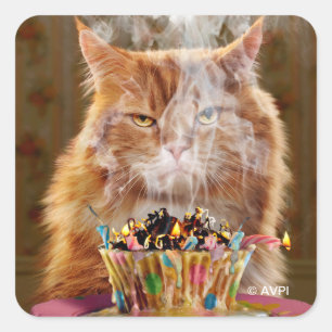 Sticker Carré Chat Cranky Drôle Avec Cupcake D'Anniversaire Fon