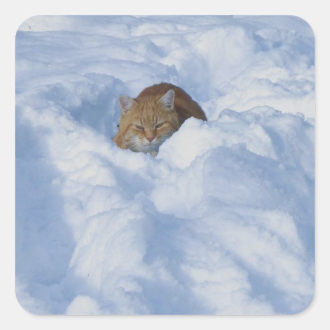 Sticker Carré Chat dans la neige (Devant)