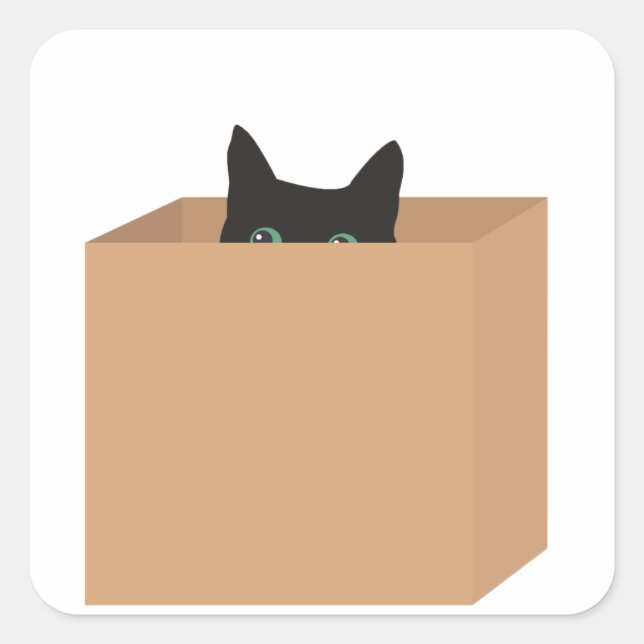 Sticker Carré Chat Dans Une Boîte (Devant)