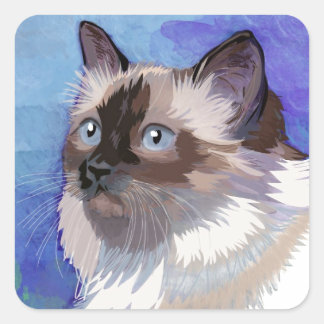 Sticker Carré Chat de l'Himalaya siamois aux cheveux longs