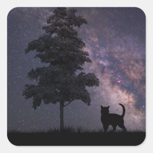 Sticker Carré Chat de nuit
