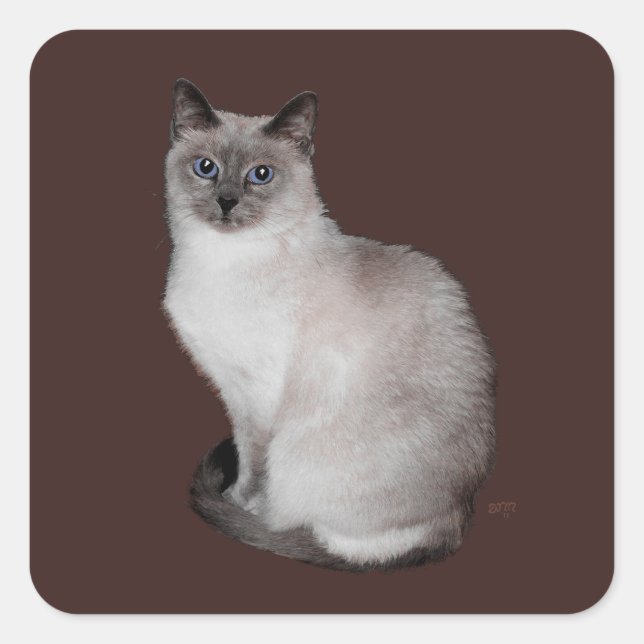 Sticker Carré Chat de Siamese avec les yeux bleus (Devant)