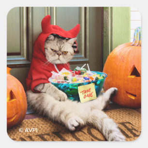 Sticker Carré Chat diabolique